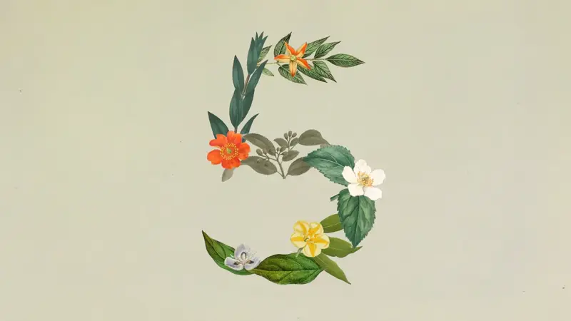 Anthropic’s official announcement page introducing Claude Sonnet 5